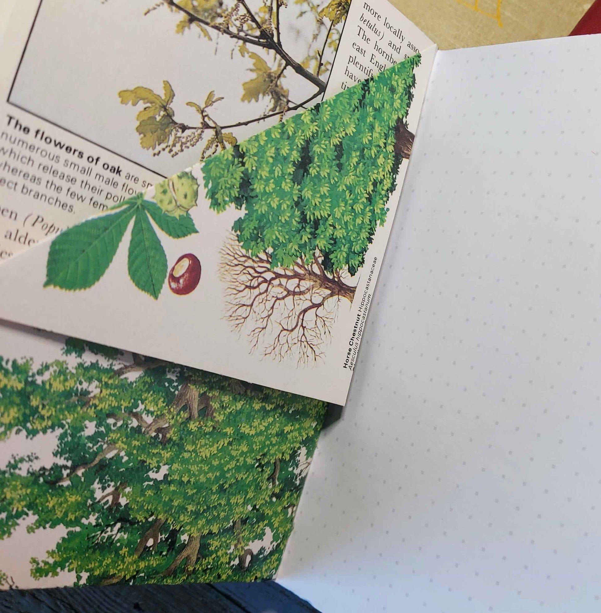Junk Journal Notebook -  A6 with Leather Spine (Copy)