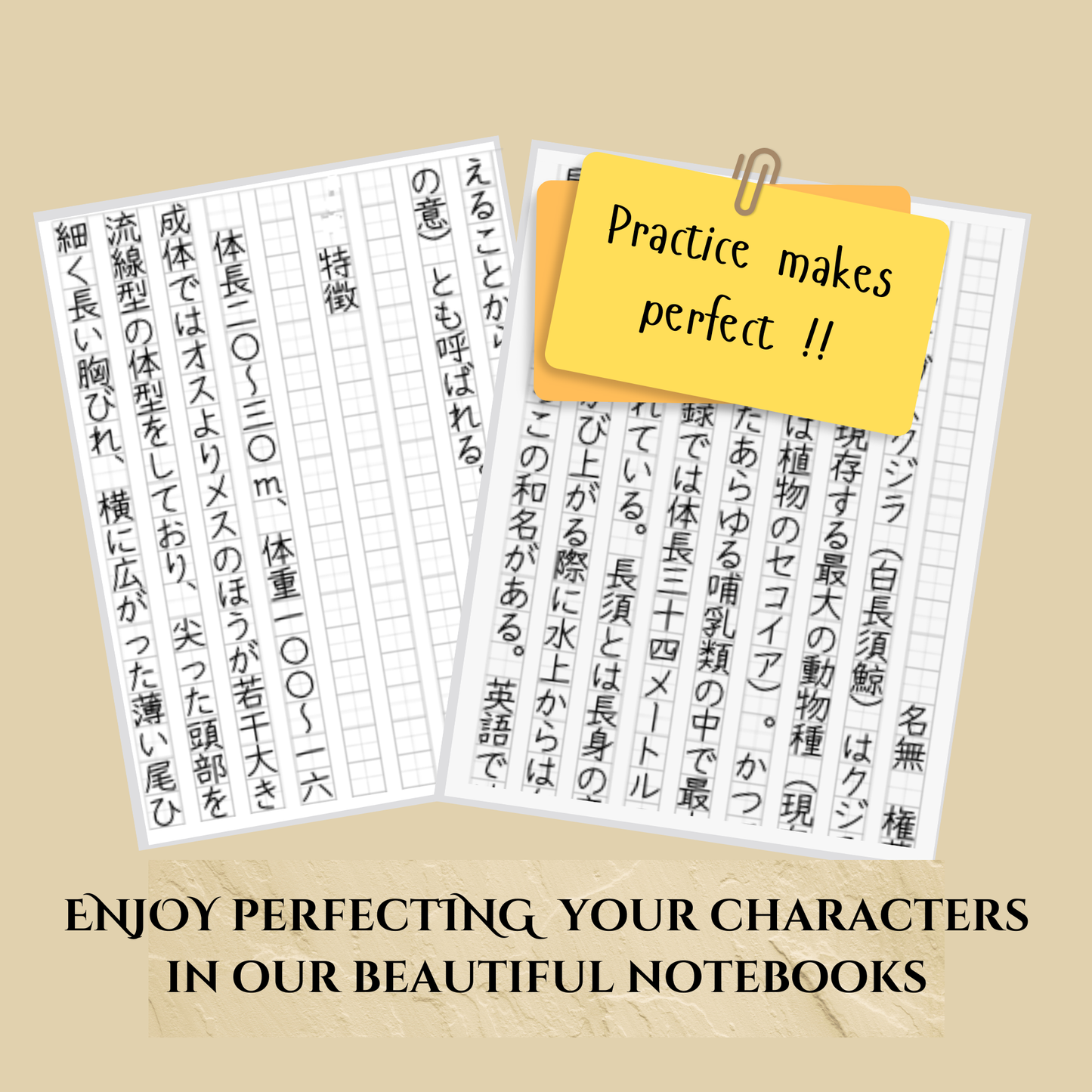 Examples of japanese characters written on the practice pages for genkoush, kanji, japanese language study