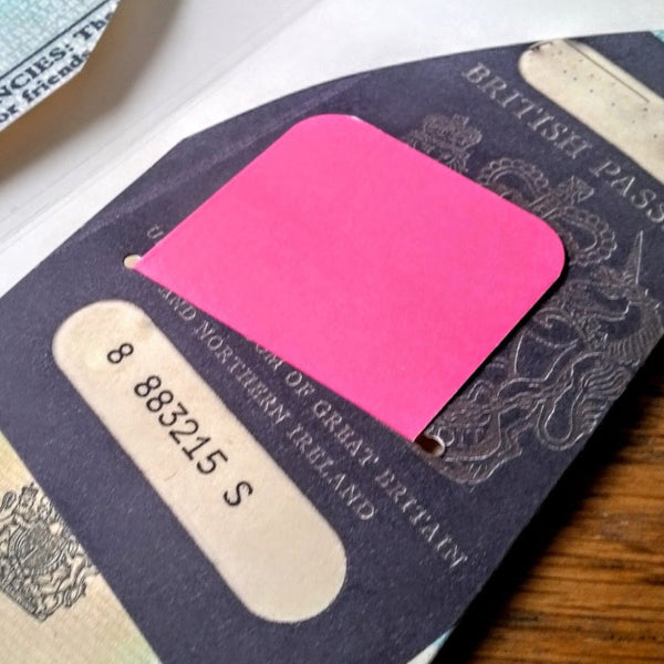 Card slots on inside of British passport design TN dashboard insert